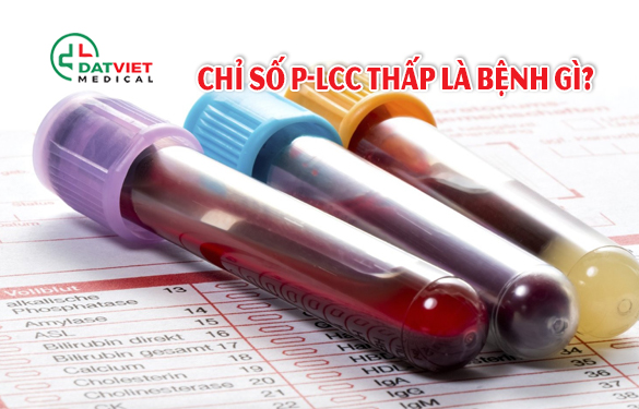 chỉ số plcc thấp là bệnh gì