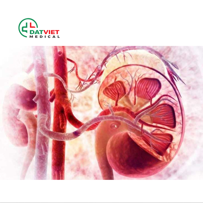 máy xét nghiệm nước tiểu 13 thông số