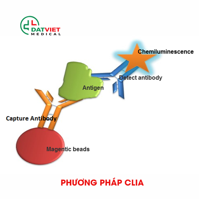 xét nghiệm miễn dịch là gì