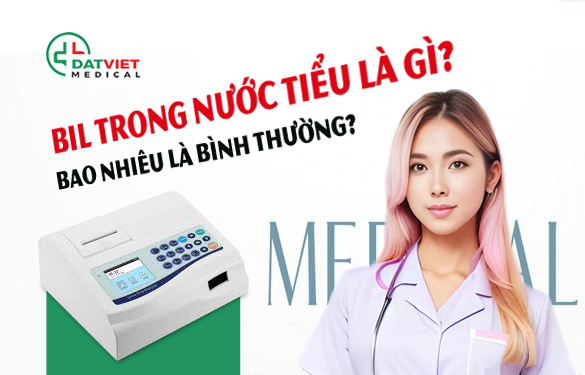 chỉ số bil trong nước tiểu là gì?