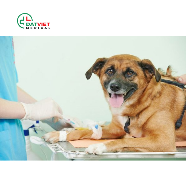 cách đọc kết quả xét nghiệm huyết học thú y