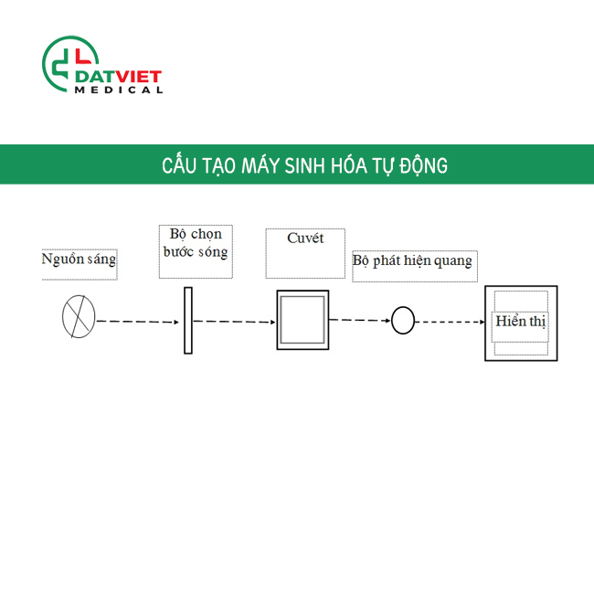 cấu tạo của máy sinh hóa