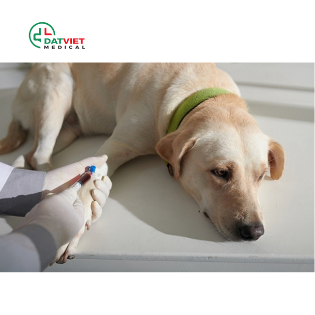 chỉ dẫn cách đọc kết quả thú y