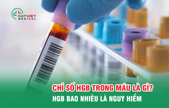chỉ số hgc trong máu là gì