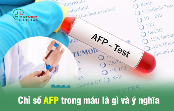chỉ số afp trong máu là gì