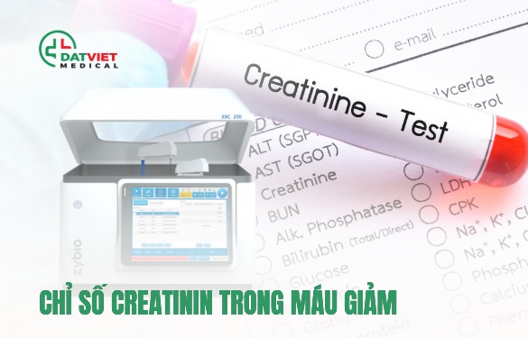 chỉ số creatinin trong máu giảm vì sao