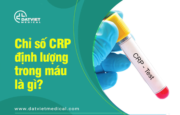 chỉ số crp định lượng trong máu là gì