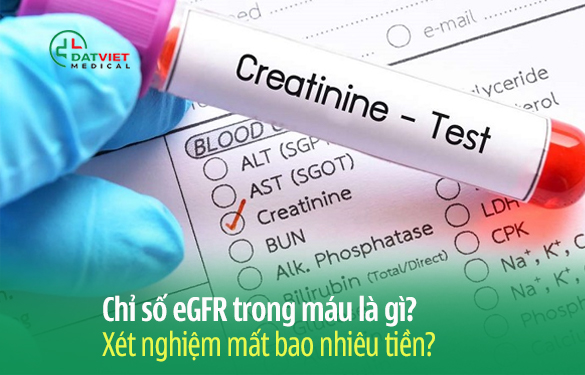 chỉ số egfr trong máu có ý nghĩa gì