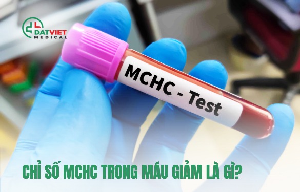 ý nghĩa của chỉ số mchc trong máu