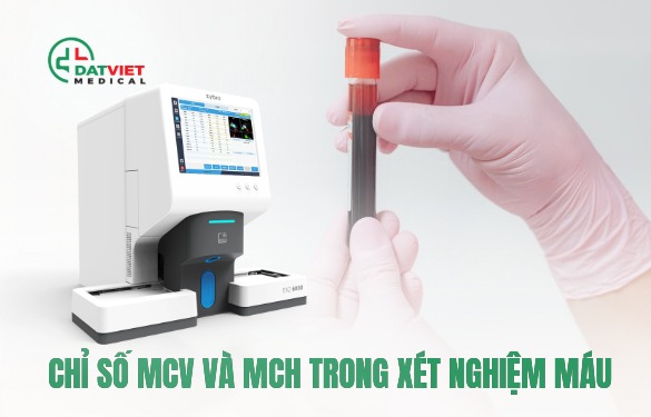 chỉ số mcv là gì