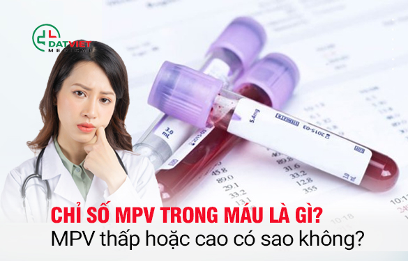 chỉ số mpv trong máu là gì?