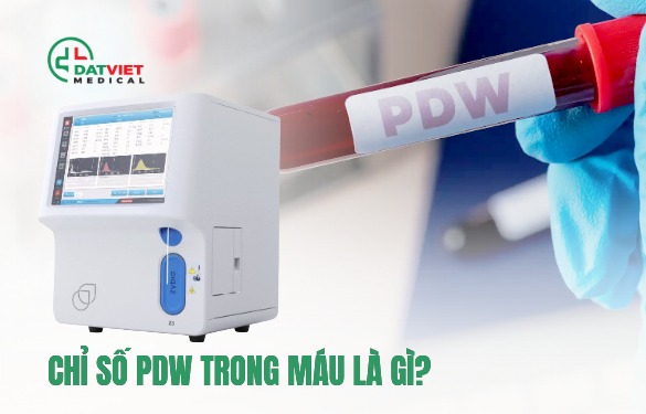 chỉ số pdw trong máu là gì