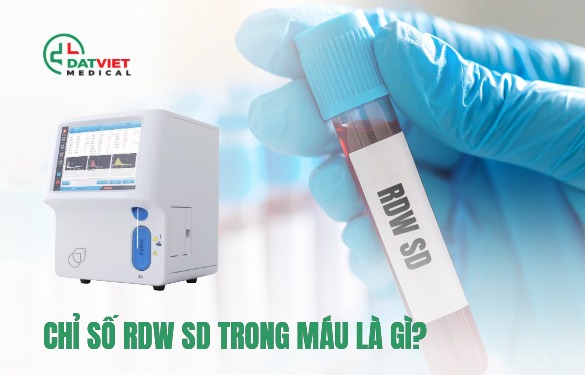 chỉ số rdw sd trong máu là gì?