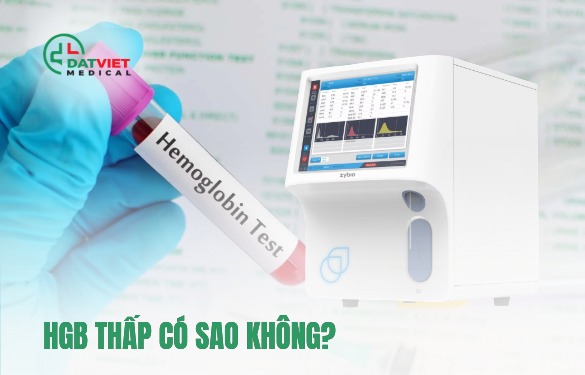 chỉ số hgb trong máu thấp có sao không