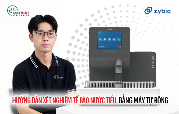 hướng dẫn xét nghiệm nước tiểu bằng máy tự động