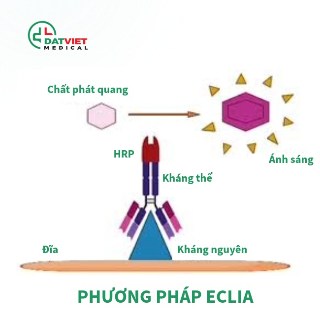 máy phân tích miễn dịch nào tốt