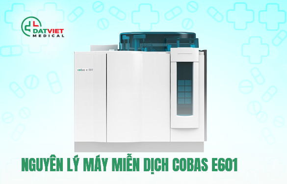 máy xét nghiệm miễn dịch cobas e601 có tốt