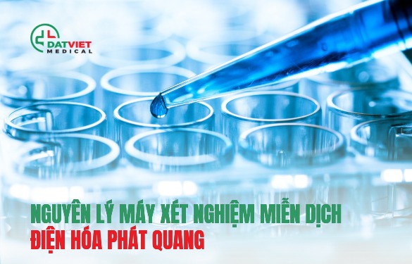 tìm hiểu nguyên lý hoạt động của máy xét nghiệm miễn dịch