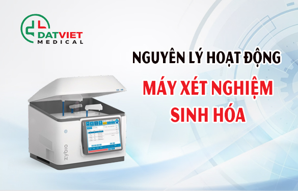 tìm hiểu nguyên lý hoạt động máy sinh hóa