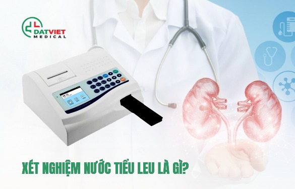 xét nghiệm nước tiểu leu là gì