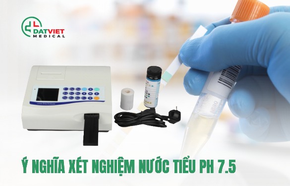 xét nghiệm nước tiểu ph 7.5 là gì